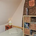 Spacieux Et Ecologique Avec Jardin Et Animaux Acceptes A - Fr-1-510-236 *