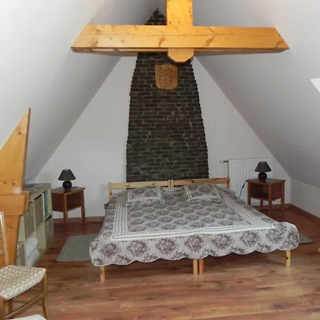 Vakantiehuis Spacieux Et Ecologique Avec Jardin Et Animaux Acceptes A - Fr-1-510-236