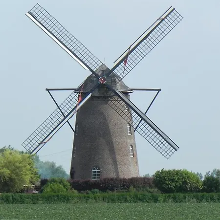 Feriehus Spacieux Et Ecologique Avec Jardin Et Animaux Acceptes A - Fr-1-510-236 Steenvoorde