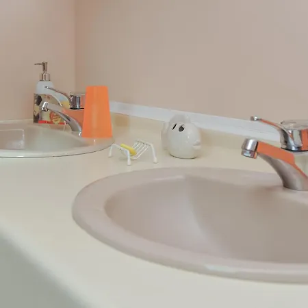 Spacieux Et Ecologique Avec Jardin Et Animaux Acceptes A - Fr-1-510-236 *