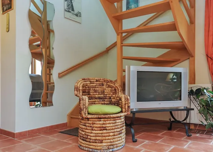 Spacieux Et Ecologique Avec Jardin Et Animaux Acceptes A - Fr-1-510-236 *