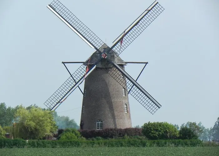 Ferienhaus Spacieux Et Ecologique Avec Jardin Et Animaux Acceptes A - Fr-1-510-236 Steenvoorde